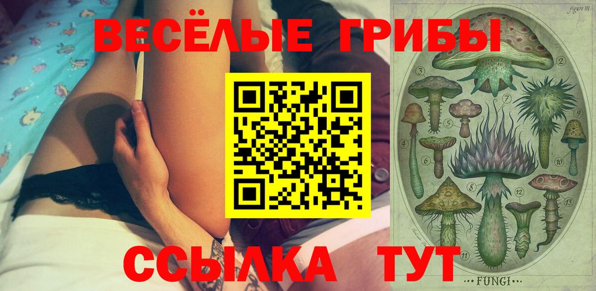 Псилоцибиновые грибы GOLDEN TEACHER  Вход с VPN  Ульяновск  Галлюциногенные грибы Psilocybe 